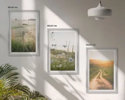 Zidna galerija krajolici s motivom prirodnih polja i staza