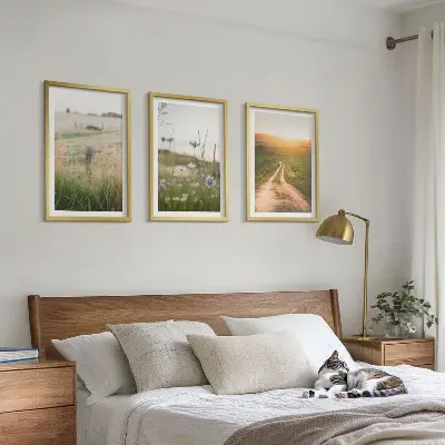 Zidna galerija krajolici s motivom prirodnih polja i staza