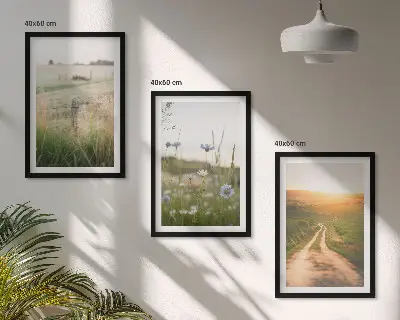 Zidna galerija krajolici s motivom prirodnih polja i staza