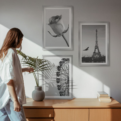 Zidna galerija Panoramski kotač Rose Eiffelov toranj