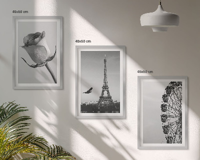 Zidna galerija Panoramski kotač Rose Eiffelov toranj