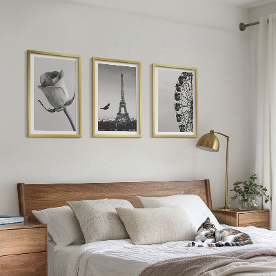 Zidna galerija Panoramski kotač Rose Eiffelov toranj