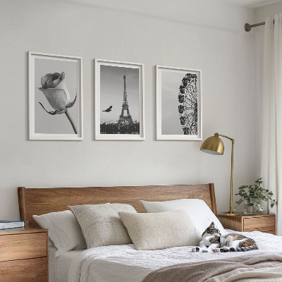 Zidna galerija Panoramski kotač Rose Eiffelov toranj