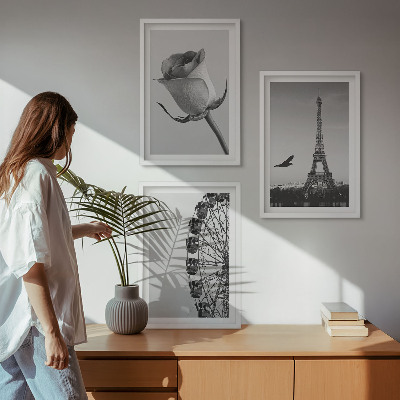 Zidna galerija Panoramski kotač Rose Eiffelov toranj
