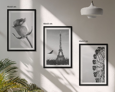 Zidna galerija Panoramski kotač Rose Eiffelov toranj