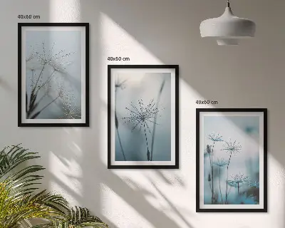 Maslačci s kapljicama vode set od 3 slike u okviru