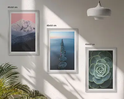 Zidna galerija planine s ružičastim nebom i sukulentima uz vodu