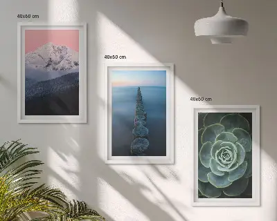 Zidna galerija planine s ružičastim nebom i sukulentima uz vodu