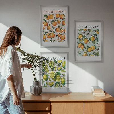 Zidna galerija Pastelni uzorci voćnih citrusa