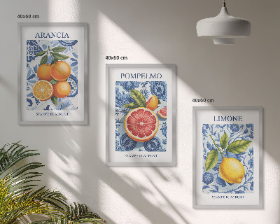 Triptih u okviru Ilustracije agruma starine
