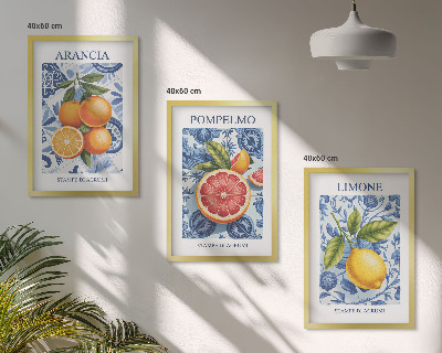 Triptih u okviru Ilustracije agruma starine