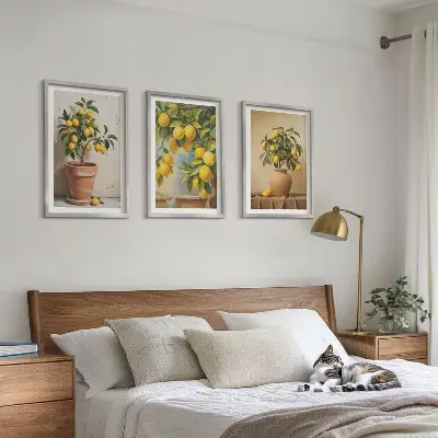 Stabla limuna u loncu i vazi set od 3 slike u okviru