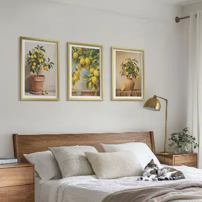Stabla limuna u loncu i vazi set od 3 slike u okviru