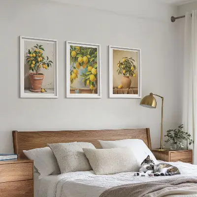 Stabla limuna u loncu i vazi set od 3 slike u okviru