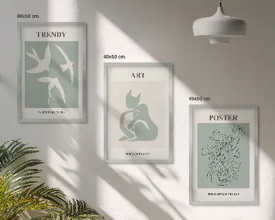 Set 3 slike u okviru s motivom Matisseovih elegantnih ilustracija