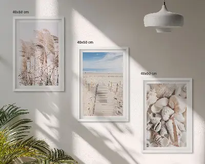Zidna galerija školjke na plaži s motivom morske trave