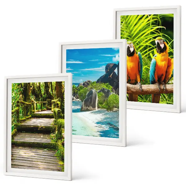 Vodopad papiga u tropskoj šumi triptih u okviru