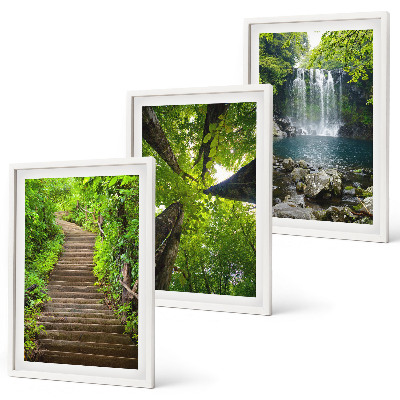 Set 3 slike u okviru Staza šuma vodopad vegetacija