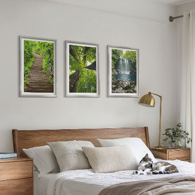 Set 3 slike u okviru Staza šuma vodopad vegetacija