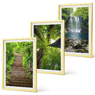 Set 3 slike u okviru Staza šuma vodopad vegetacija
