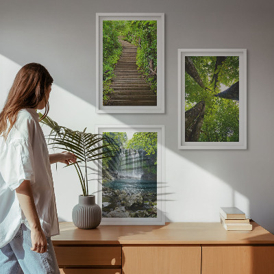 Set 3 slike u okviru Staza šuma vodopad vegetacija