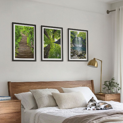 Set 3 slike u okviru Staza šuma vodopad vegetacija