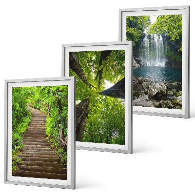 Set 3 slike u okviru Staza šuma vodopad vegetacija