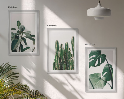 Zidna galerija Tropske estetske biljke