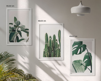 Zidna galerija Tropske estetske biljke