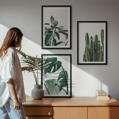 Zidna galerija Tropske estetske biljke