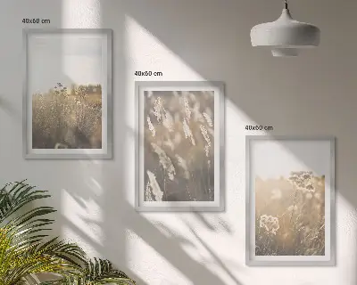 Set od 3 slike u okviru toplina krajolika s motivom trave i cvijeća