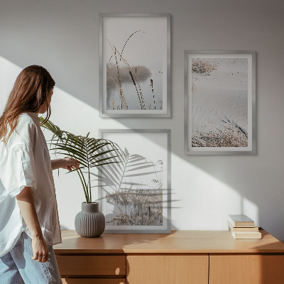 Set 3 slike u okviru Vodena vegetacija ljeti