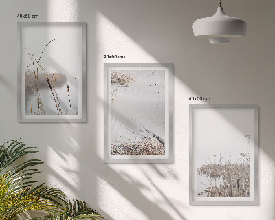 Set 3 slike u okviru Vodena vegetacija ljeti