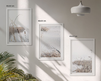 Set 3 slike u okviru Vodena vegetacija ljeti