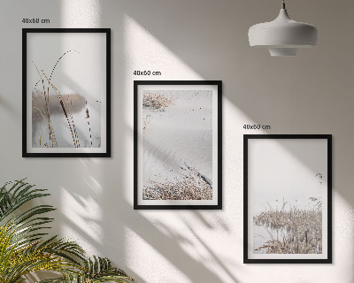 Set 3 slike u okviru Vodena vegetacija ljeti