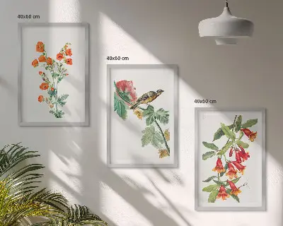 Zidna galerija oslikano cvijeće i ptice