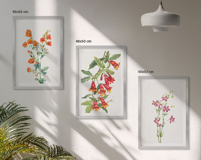 Set 3 slike u okviru Vintage retro cvjetna slika