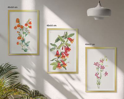 Set 3 slike u okviru Vintage retro cvjetna slika