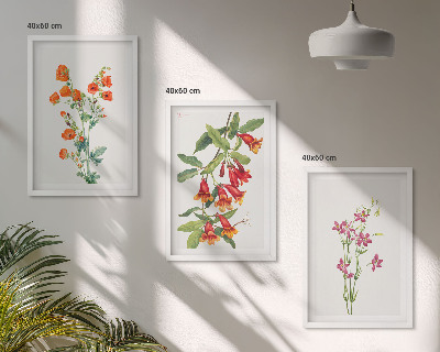Set 3 slike u okviru Vintage retro cvjetna slika