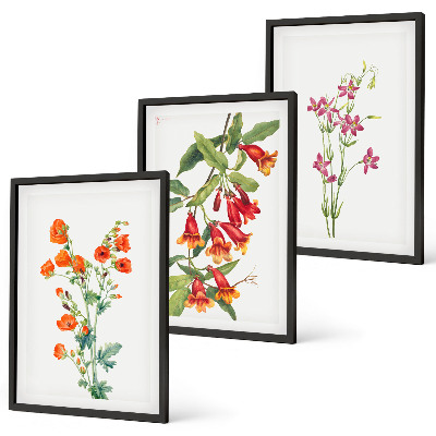 Set 3 slike u okviru Vintage retro cvjetna slika