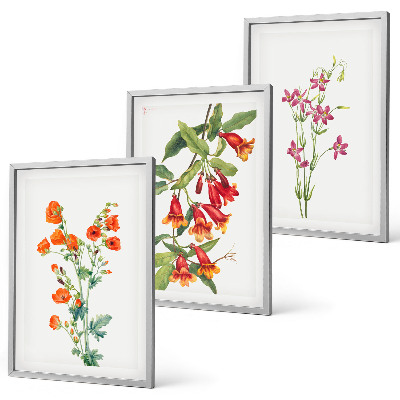 Set 3 slike u okviru Vintage retro cvjetna slika