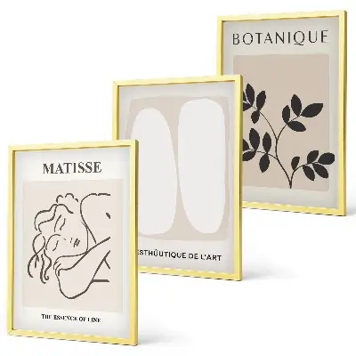 Zidna galerija elegantne botaničke slike u stilu Matissea