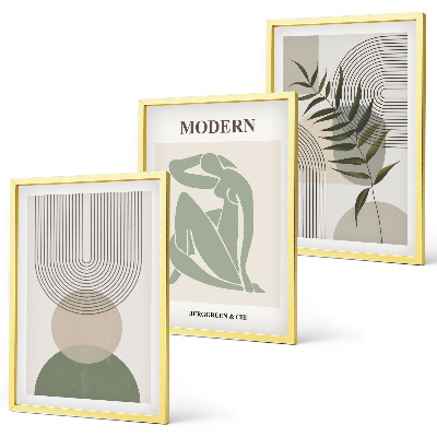 Set 3 slike u okviru Elegantna grafika biljaka