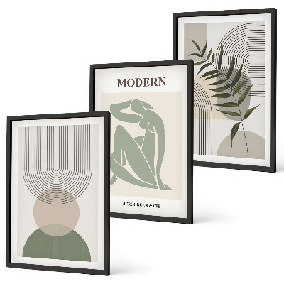 Set 3 slike u okviru Elegantna grafika biljaka