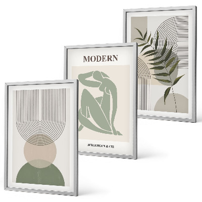Set 3 slike u okviru Elegantna grafika biljaka