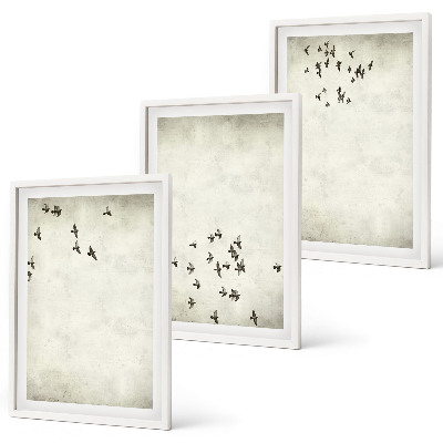 Set 3 slike u okviru Minimalističko slikanje ptica