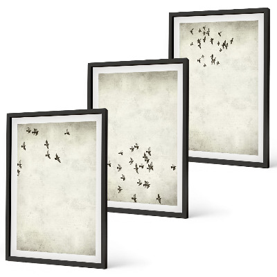 Set 3 slike u okviru Minimalističko slikanje ptica