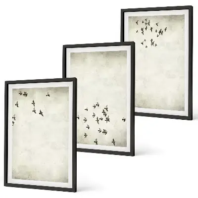 Minimalistička slika ptica set od 3 slike u okviru