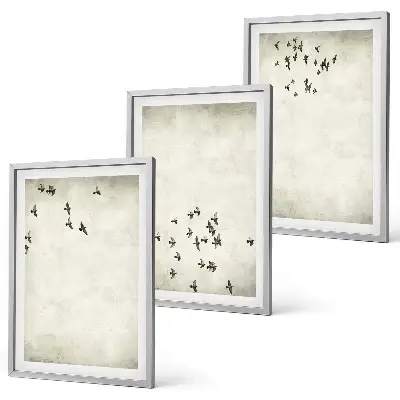 Minimalistička slika ptica set od 3 slike u okviru