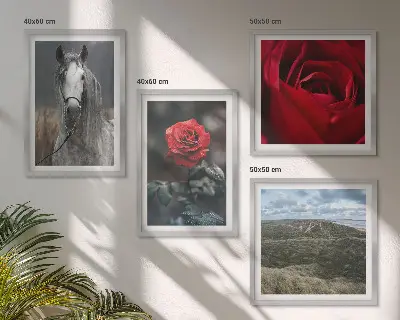 Set od 4 slike u okviru crvene ruže s konjem na sivoj pozadini